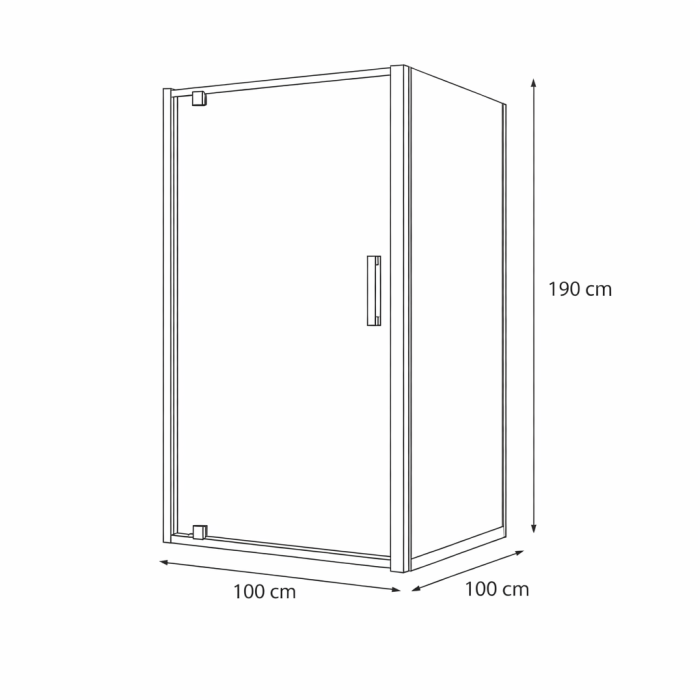 Cabina dus 100x100 cm cu usa batanta, crom lucios, sticla securizata de 6 mm, Sanswiss Ocelia [4]
