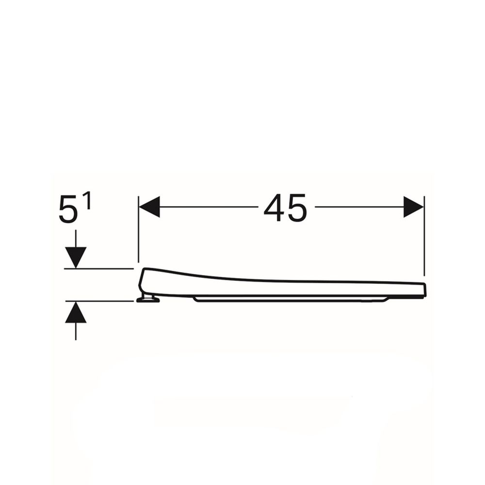Capac wc alb soft-close 36x45 cm Geberit, iCon [2]