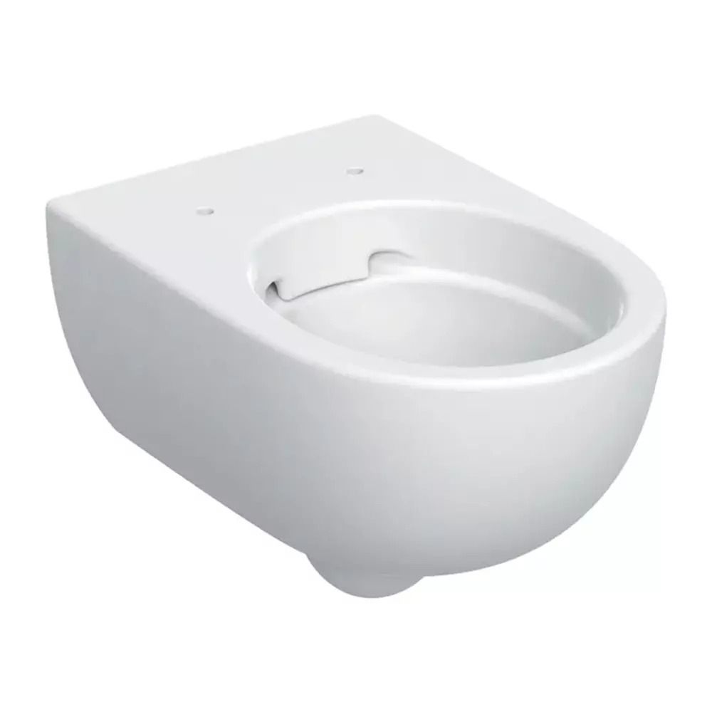 Set vas wc suspendat rimless cu capac soft close din duroplast, alb, Geberit Selnova Premium [2]