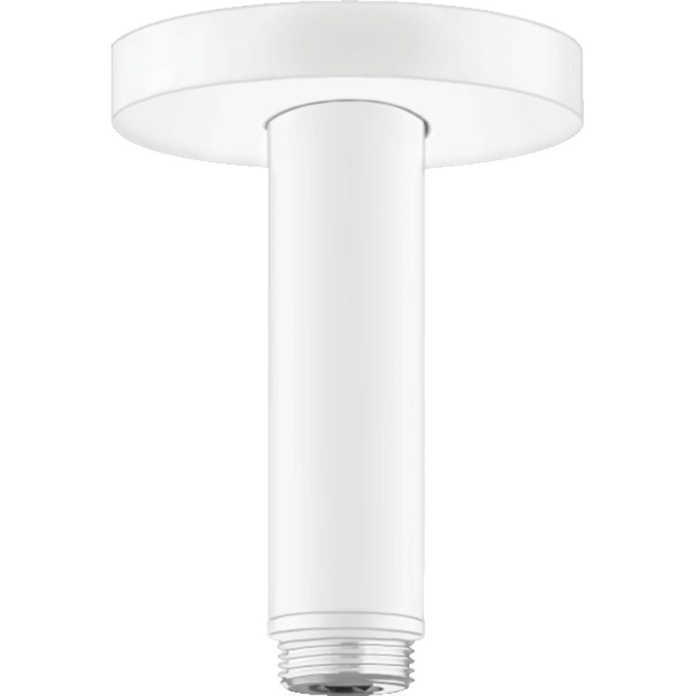 Brate si palarii dus - Brat dus vertical alb mat Hansgrohe 27393700