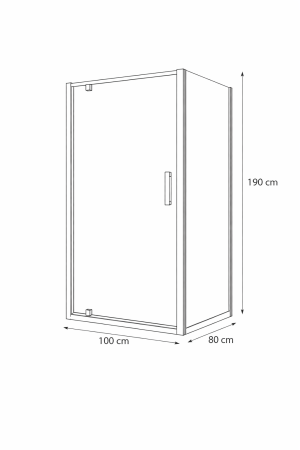 Cabina dus 100x80 cm cu usa batanta, crom lucios, sticla securizata de 6 mm, Sanswiss Ocelia [3]