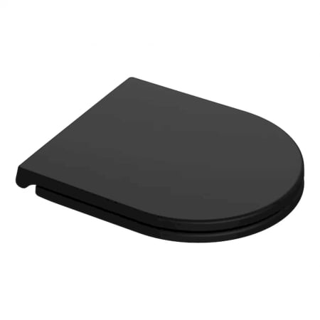 Capace WC - Capac Wc cu soft close si quick release, Feeling, negru mat, RAK