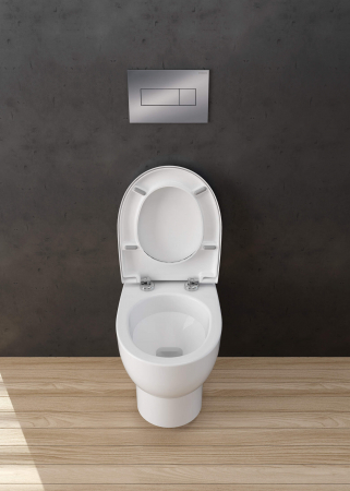 Capac wc soft close culoare alba Deante, Avis [1]