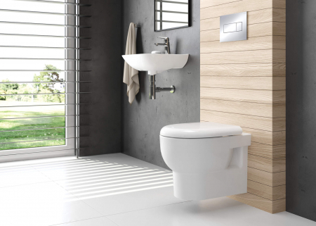 Capac wc soft close culoare alba Deante, Avis [3]