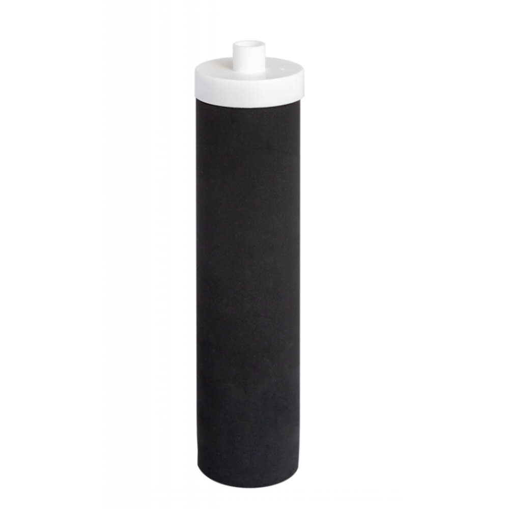 Filtru de apa Aquator Family Duplex, 5000-8000 litri, sistem complet cu rezerva inclusa [1]