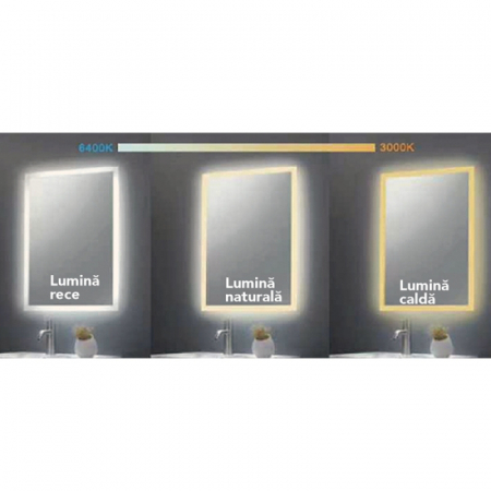 Oglinda ovala 60 cm cu iluminare LED exterior si dezaburire Fluminia, Picasso-EX [3]