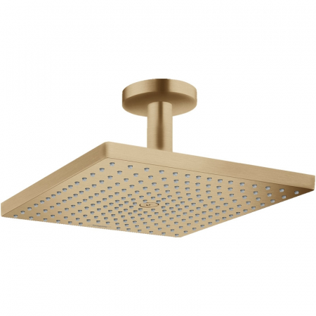 Brate si palarii dus - Palarie dus bronz periat Hansgrohe, Raindance E 300