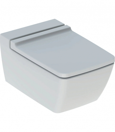 Vase WC - Set vas WC alb suspendat rimfree, spalare verticala cu capac soft close din duroplast, Geberit Xeno2