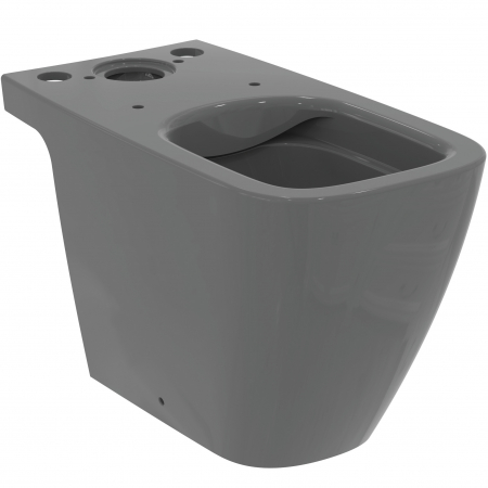Vase WC - Vas wc stativ rimless plus Ideal Standard i.life B gri lucios