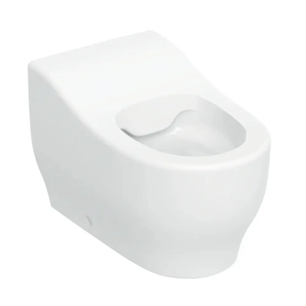 Vase wc copii - Vas WC stativ pentru copii, 44 cm x 27cm x 30 cm , rimfree, alb, Geberit Bambini