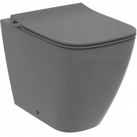 Vase WC - Vas wc stativ rimless plus Ideal Standard i.life B gri lucios back to wall cu capac inclus