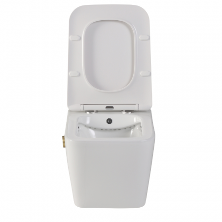 Vas wc suspendat cu functie bideu, dreptunghiular, apă calda/rece, rimless, baterie auriu mat Foglia Safari [2]